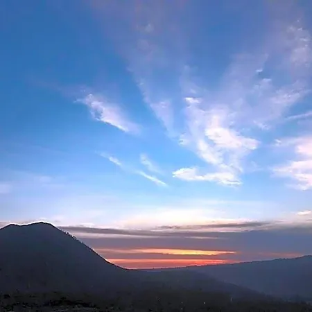 Alam Bali Lake View